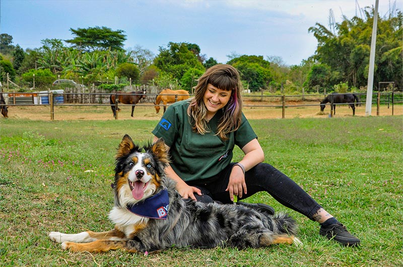 Evolução da clínica de pequenos animais