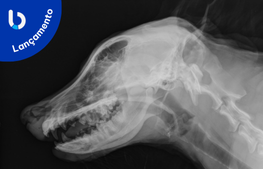 Radiografia de Cabeça e Pescoço em Animais Domésticos