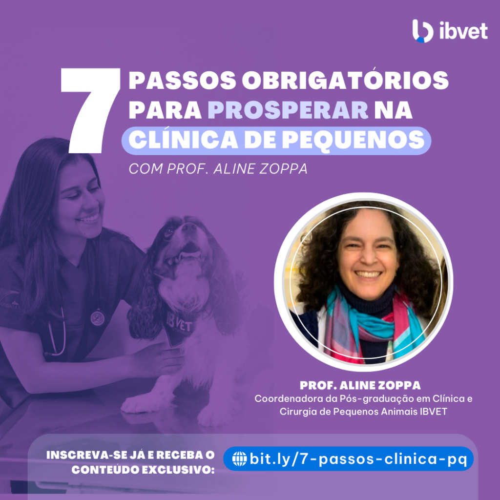 7 Passos para prosperar com Aline Zoppa