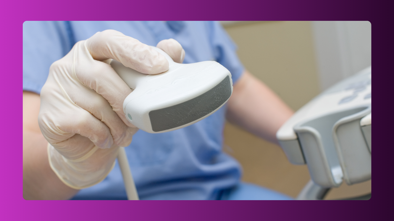 Passos para Alcançar o sucesso na US de Pequenos Animais​