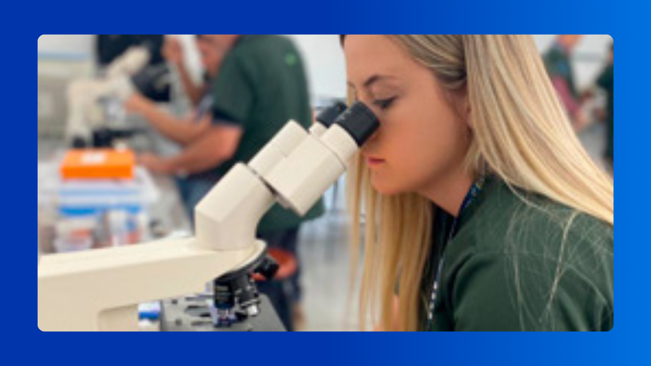 Transferência de Embriões em Equinos​